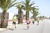 image_47