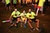 image_14