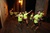 image_41