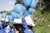 image_44